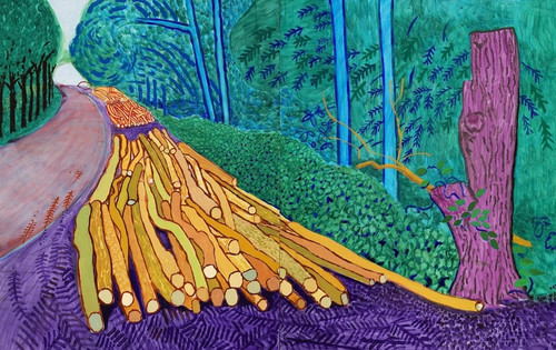 David hockney more - hockney, felled