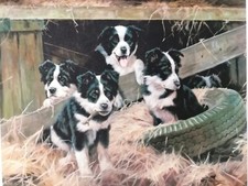 Tyred Out John Trickett