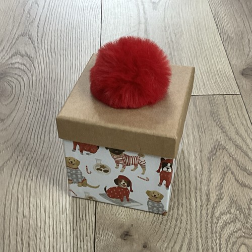 New molly rex small - molly, &