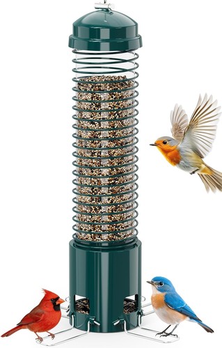 Squirrel proof bird feeder - proof,