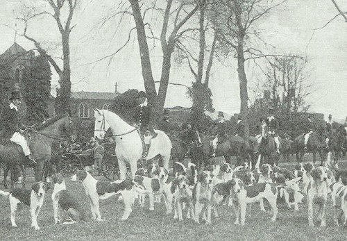 Pytchley hunt meet thornby - pytchley,