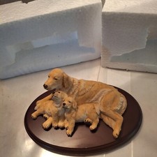 Teviotdale Golden retriever with  pups, still in original box, 645g