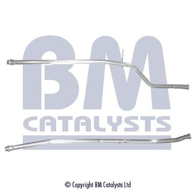 Catalysts bm50017 - catalysts,