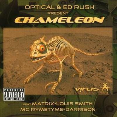 Optical present chameleon - present,