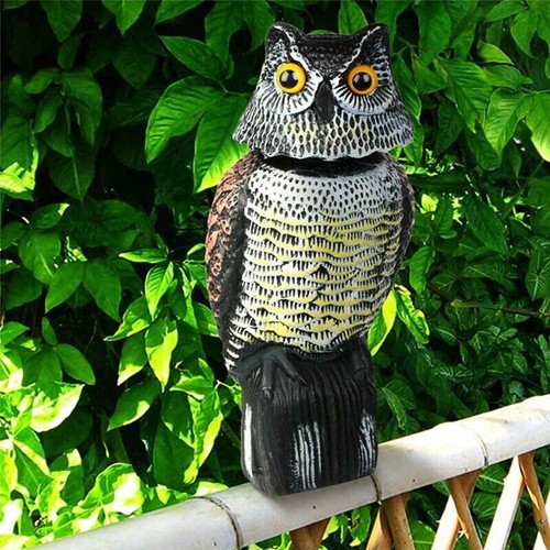 360 rotating owl - rotating, decoy