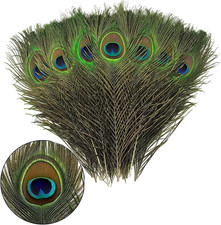 15Pcs Peacock Feathers
