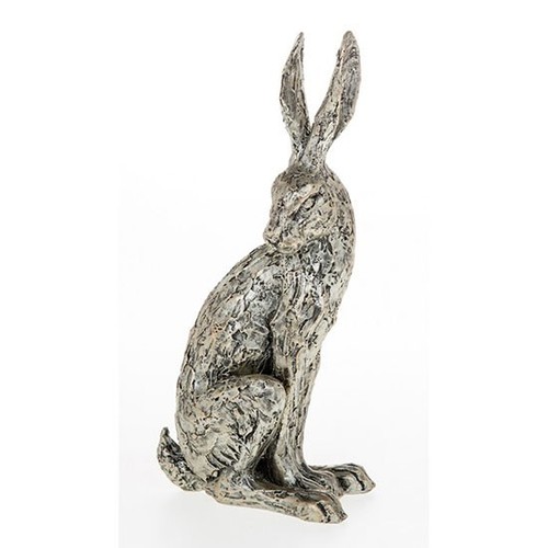 Champagne bronze hare - champagne, waiting