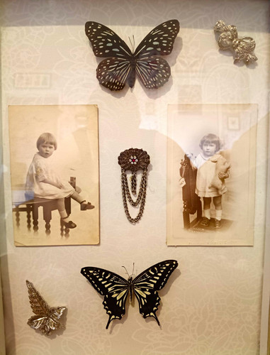 Asian swallowtail and - , dark