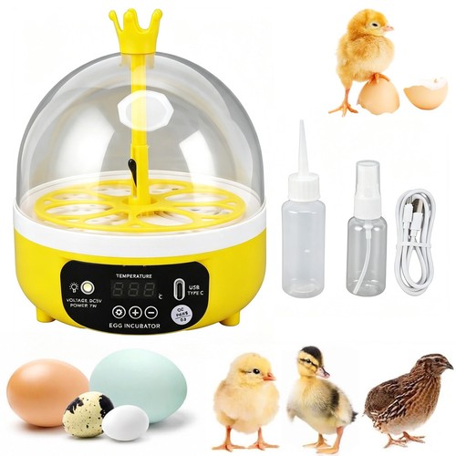 Egg incubators for hatching - egg,