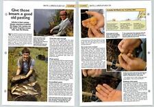 Bream A Good Pasting - Coarse Baits, Lures - The Art Of Fishing Page