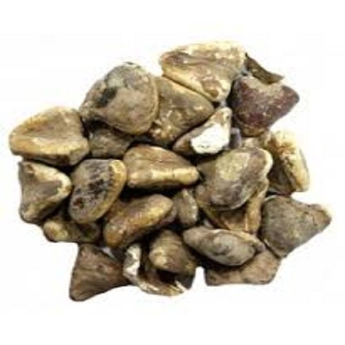 500g 1kg whole - |,