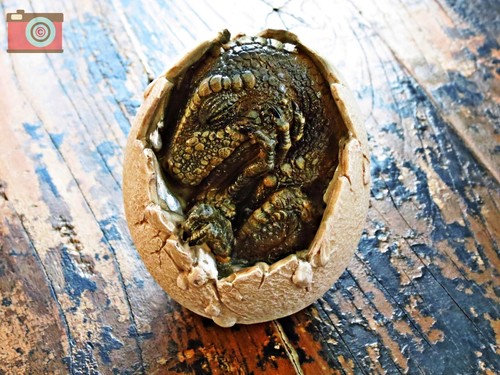 Hatching dragon dinosaur - hatching,
