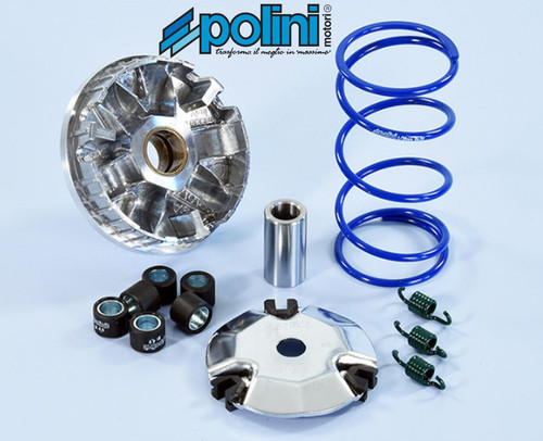 Polini performance variator - polini,
