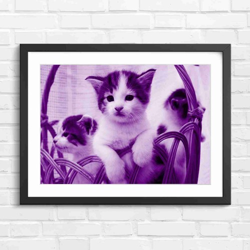 Adorable kittens wicker - kittens, in