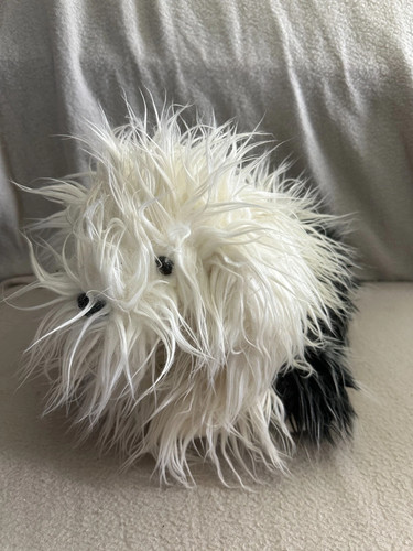 Dulux english sheepdog - english,