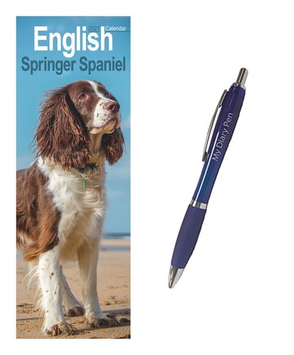English springer spaniel slim - springer,