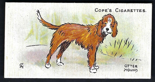 Cope dogs the world - cope,