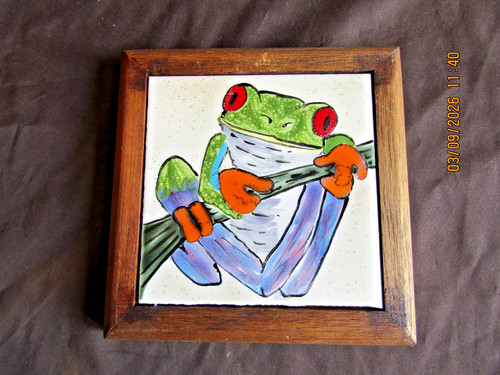 Red eye tree frog - tree,