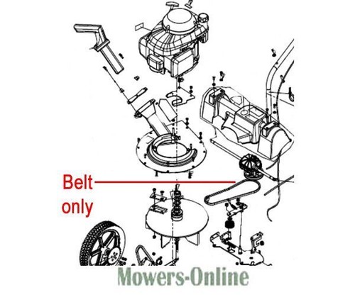 Billy goat belt - goat, /