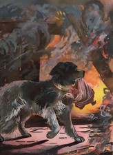 DOGS TALES 1883 Colour Plates