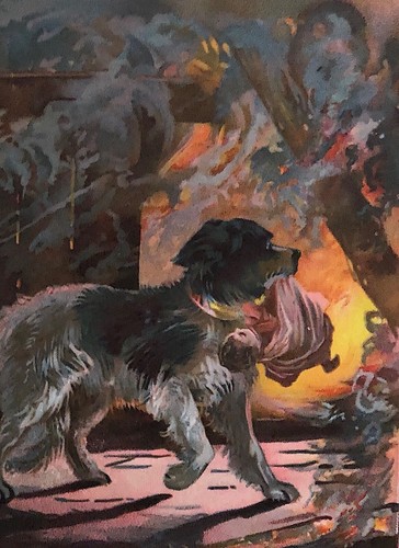 Dogs tales 1883 colour plates - tales,