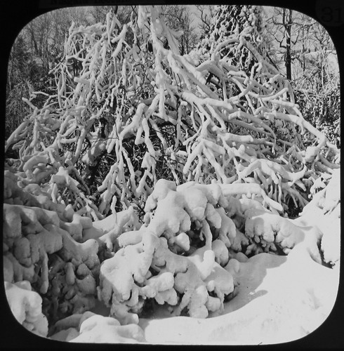 Glass magic lantern - glass, snow