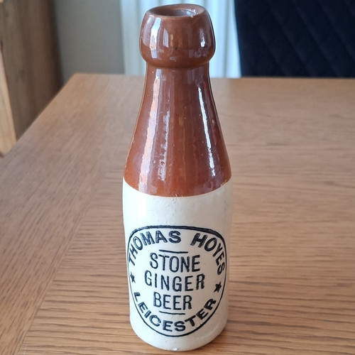 Thomas hoyle stone ginger - hoyle,