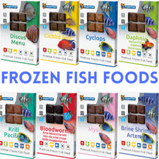 Superfish frozen fish food - fish,