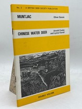 Muntjac Chinese Water Deer