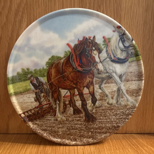 Melamaster horse ploughing - horse,