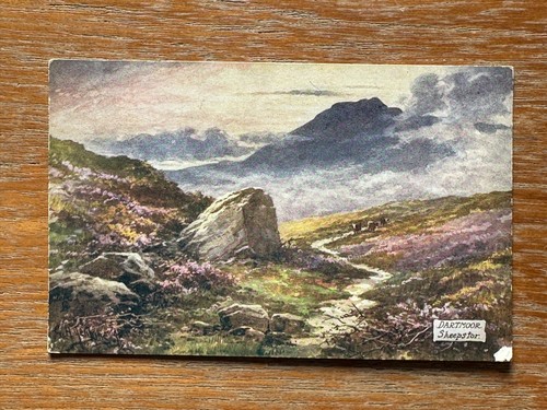 Antique dartmoor postcard - antique,