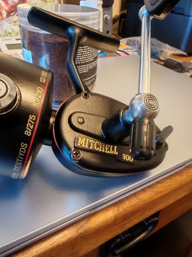 Mitchell 300