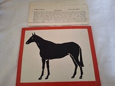 The Winner Children's Magic Trick by Supreme Magic Bideford Devon