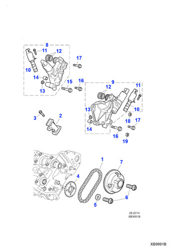 Jaguar secondary timing - jaguar,