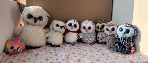 Beanie boo owl bundle 8pcs - boo,