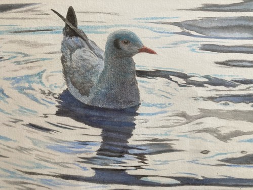 Watercolour painting michael - watercolour,