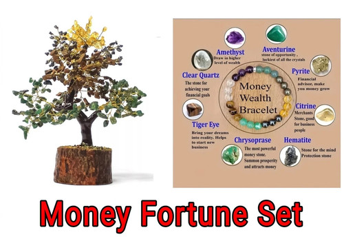 Money magnet fortune tree - magnet, &