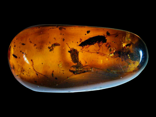 Multi inclusion burmese amber - multi,