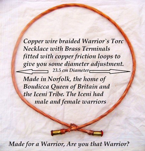 Made norfolk the iceni - made,