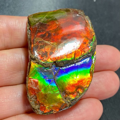 Rainbow ammolite gemstone rare - ammolite,