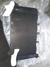 Kawasaki Z900 Radiator 2019