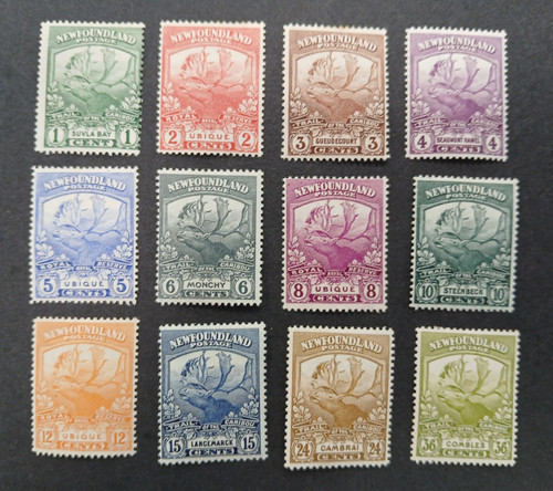 Newfoundland 1919 caribou - 1919, set