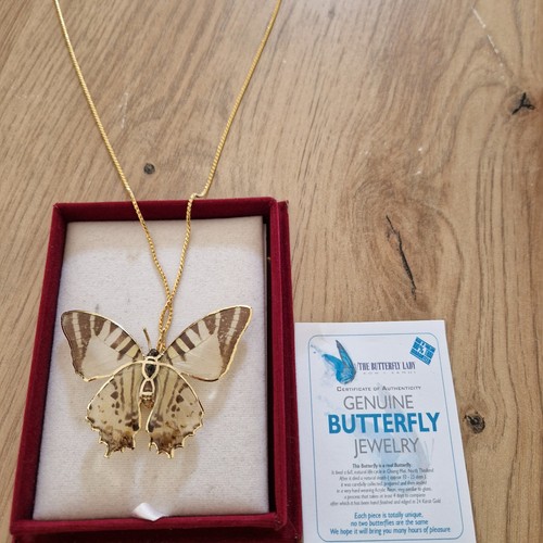 Jewellery real butterfly girls - real,