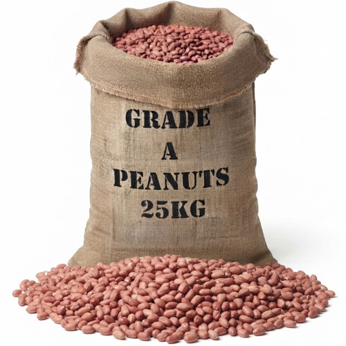 English peanuts wild bird - wild,