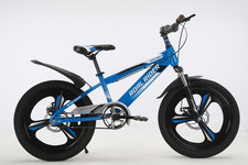 20-In Kids Sport Bicycle Alloy