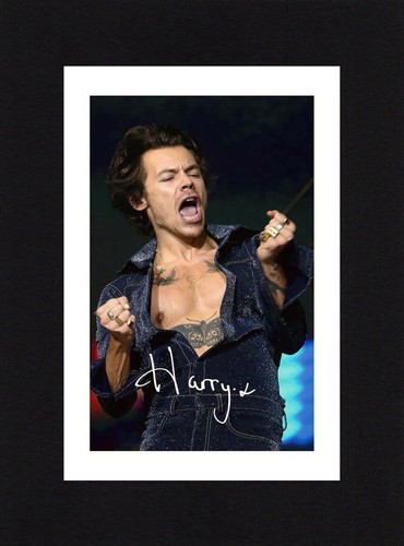 8x6 mount harry styles - mount,