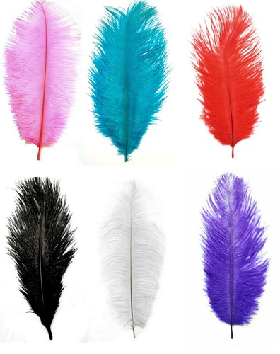 Feather ostrich fowl retro - or,