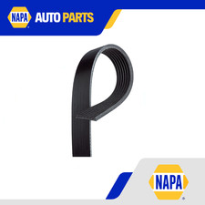 7 Rib Multi V Drive Belt