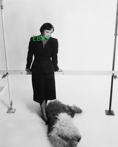 Florence knoll photograph - knoll,