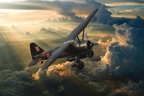 Lysander canvas prints - lysander,